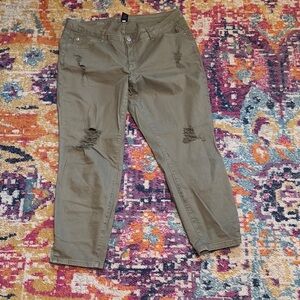Lane Bryant Trendy Olive Distressed Pants 16